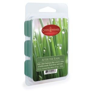 2.5 oz Wax Melt Bundle "After The Rain"